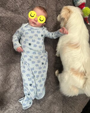 Iliza Shlesinger Instagram - Clear highlight of 2024: welcoming Ethan into the world 🩵🧸 he’s the happiest, most content little boy!