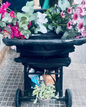 Inma Cuesta Instagram - Una vuelve siempre a los mismos sitios donde amó la vida…
Nuestros últimos días de 2024 llenas de amor y muchos deseos ✨🤍🎡
Feliz entrada de año!!!