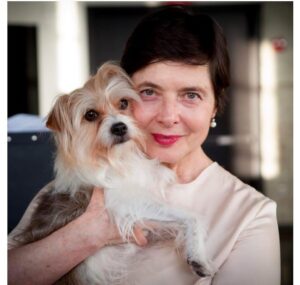 Isabella Rossellini Instagram - Some wrote ” Why breed dogs when so many are abandoned and living in shelters? “. I totally agree and my other dogs Pinocchio  and Darcy are rescues ( see photos #2 and # 3 ) but for guide dogs is different . They  have been selected  generation after generation to have particular temperament. Nowadays dog breeds are just created  for looks but historically they were selected for talents. We have created hunting dogs, guard dogs , herding dogs.There is  very little chance that a dachshund  can herd sheep but border  collie or an Australian Shepard dogs do it easily . Guide dogs have been selected to be particularly calm, friendly and unafraid. Rosie never chased my chickens like other dogs do. Rosie never barks and is super friendly, she  would not  make a good guard dog. Rosie can learn many commands and very easily .Pinocchio just knows “ sit “ and “ stay” . A guide dog can learn more than 100 different words. . Darcy is extremely energetic,  barks all the time and has learned many tricks because she would do anything for a treat. Guide dogs seek more approval and caresses than treats . They are extremely human oriented. Clients are provided service dogs for free .  @guidedogfoundation @mamafarm