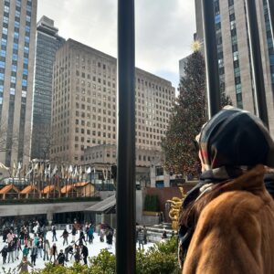 Iva Domingues Instagram - 📍🗽🇱🇷NYC dump . Já com saudades