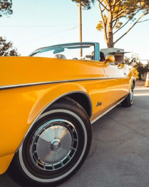 Jacqueline Toboni Instagram - Grateful for cool mustangs, cooler friends and good vibrations. @bunkerclubla provides them all.