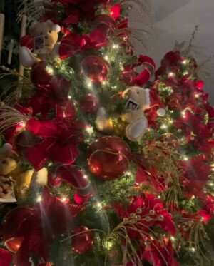 Jakelyne Oliveira Instagram - Que nesse natal o amor seja a luz, o prato principal e o motivo da sua celebração. 

Feliz Nataaaaal!! ✨🎅🏽♥️

Obs: último Natal assinando como “solteiros” 🎉

#marrychristmas