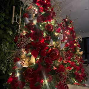 Jakelyne Oliveira Instagram - Que nesse natal o amor seja a luz, o prato principal e o motivo da sua celebração. 

Feliz Nataaaaal!! ✨🎅🏽♥️

Obs: último Natal assinando como “solteiros” 🎉

#marrychristmas