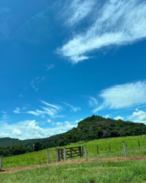 Jakelyne Oliveira Instagram - Não é terapia, mas é terapêutico 🌻🌾

Família, amor e natureza, meu combo perfeito da felicidade!