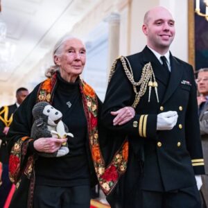 Jane Goodall Instagram - Dr. Jane Goodall continues to make history 📚

We are immensely proud of our founder, who received the Presidential Medal of Freedom on Saturday in recognition of her groundbreaking contributions to science and tireless advocacy for our planet and all who call it home 🌎

📸: AP Photos/Manuel Balce Ceneta, JGI Guest, Valerie Plesch, Getty Images/Tom Brenner, JGI/Lilian Pintea, 
.
.
.
#JaneGoodall #JaneGoodallInstitute #JGI #MedalOfFreedom #HopeInAction