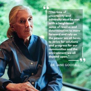 Jane Goodall Instagram - A message from our founder, Dr. Jane Goodall 💚

“This time of uncertainty and adversity must be met with a heightened sense of resolve and determination to move forward and rely on the power we all have, to strive for solutions and progress for our communities and the environment we all depend upon.”