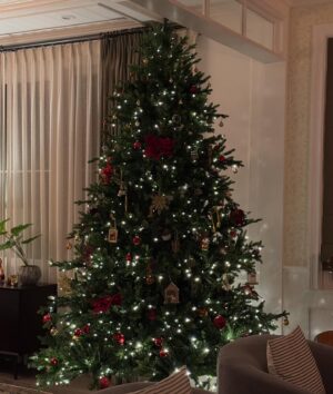 Jennifer Morrison Instagram - It’s that time of year… 🎄