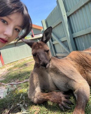 Jeon Hee-jin Instagram - 돔황가 🦘💨