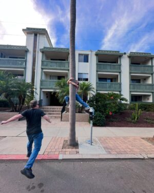 Jillian Shea Spaeder Instagram - Choose your character 
1. Feeling cool. Feeling fun.
2. Uh oh I climbed a palm tree and I can’t get down 
3. My football team is better than yours
4. election is still ruining my mood 
5. Requires Emotional support Dino 
6. Yeah