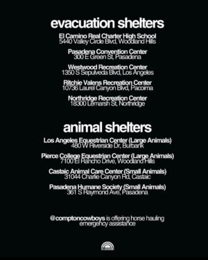 Jodie Sweetin Instagram - Devastated and heartbroken for the place I call home. 💔 I’ve spent the day checking in on loved ones and want to amplify any resources to help. Please stay safe out there and comment with any other resources or ways to volunteer.

- @lossangelesfiredepartment and @redcrossla for up to date info and resources
- @watchdutyapp for map and shelter updates
- @pasadenahumane and @chinohillsanimalhospital accepting animals
- lacounty.gov/emergency/