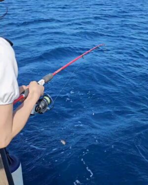 Jolin Tsai Instagram - ❤️馬爾他出海趣❤️ 
一條條小魚 釣得三頭和背肌都很酸😅
 beginner's luck  釣了快8隻 🤞🏻😁😁😁
