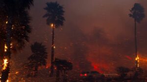 Judy Greer Instagram - Los Angeles is burning, and thousands of people need urgent help. Your donation can provide lifesaving relief—hygiene kits, first aid supplies and critical healthcare support for families and clinics overwhelmed by the wildfires. Visit the link below to donate through the International Medical Corps.

https://internationalmedicalcorps.org/emergency-response/los-angeles-wildfires/?form=LAFires2501&appeal=SMINL2501