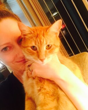Judy Greer Instagram - IF YOU LIVE IN OHIO! This gorgeous creature needs a home! His name is Crash - he’s healthy, neutered, vaccinated, ten years old, and a real sweetheart.

He’s currently at Wyandotte Adoption Center - you can call the number below to make an appointment and meet him (he might not be on the website yet). You should come prepared with a cat carrier because you’ll want to take him home!!!

Wyandotte Adoption: 419-294-4477
