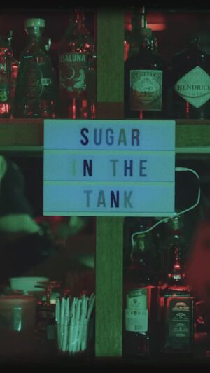 Julien Baker Instagram - Tune in tomorrow, 10am ET