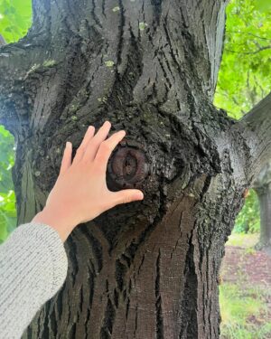 Justina Bustos Instagram - Córdoba es el bálsamo más grande y transparente que uno puede encontrar. 
Su verde y la calidad de gente, hacen que mi corazón lata fuerte cada vez que la visito. 
Que sereno! 
Que belleza! 
Si alguien busca tranquilidad y pasión en las personas, éste es el lugar indicado… y reírse. Siii,acá la gente se ríe mucho con ternura en la mirada. 
En Córdoba siempre se está bien. 🥹🍀🐸🍀💜🩵💎

@turismocba 
@cordobaok