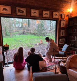 Kate Wright Instagram - A very special birthday morning for our Cree Cree 🐅
@portlympnepark