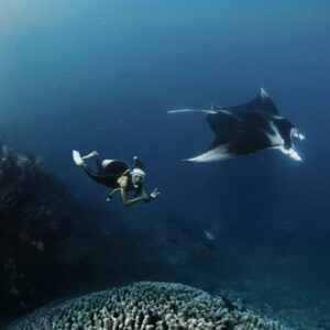 Kelly Tandiono Instagram - Merry Xmas and Happy Holidays everyone much love from Raja Ampat ❤️
.
Chillin with the Oceanic Manta while playing in the current and diving everyday 😁
.
📸 @ferry_mozard 
.
#RajaAmpat #Misool #Diving #Diver #AnakLaut #HappyHolidays #MerryChristmas