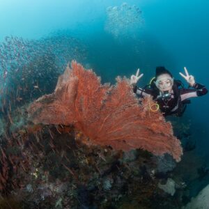 Kelly Tandiono Instagram - Hello from Raja Ampat ❤️ 
.
Can you spot the Wobbegong sleeping on the coral? 
.
📸 @ferry_mozard 
.
#Diving #Diver #Ocean #OceanLife #AnakLaut  #RajaAmpat #Misool #Indonesia