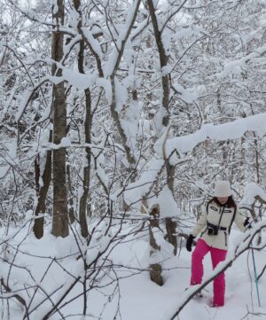 Koe Yeet Instagram - Back in the snow after a year…
Still not skiing because gravity and I have unresolved issues. Snow walking it is ❄️⛄️

Very determined not to injure myself this round 😂