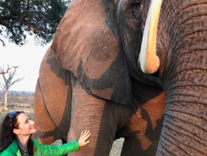 Kristin Davis Instagram - I love to hear that so many of you are watching Holiday in the Wild on Netflix! It was a dream job based on my experiences in elephant conservation . Thank you to @roblowe for being the best co-star and @johnnylowe for playing my pretend son ♥️
🐘🎄
