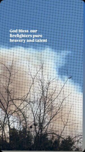 Kym Whitley Instagram - Thank you to all the firefighters and the pilots that are coordinating the effort to control the fires, we appreciate you #unsungheros