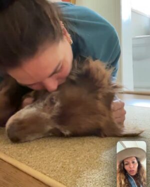 Lana Parrilla Instagram - HAPPY HEAVENLY BIRTHDAY LOLA. You were our partner in all adventures . The kindest most loving doggie . @lanaparrilla , i love y💕 . My heart is holding yours today , lolita ‘s birthday in the land after life . Holding your hand and heart . She rests in doggie paradise . We carry on here on planet earth . Prayers for us all .