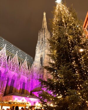 Larissa Gacemer Instagram - Çok tatlısın Wien 🫶🏻 😍🎄💫 #xmas