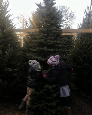 Laura Prepon Instagram - Happy Holidays from my fam to you & yours!🎄 The kiddos picked a great tree! ❤️