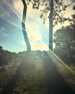 Laura Smet Instagram - Bonne année 2025 à tous 🙏♥️