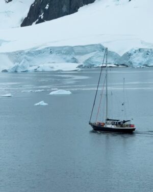 Laura Wontorra Instagram - Expeditionswoche 3 ❄️🛳️ neigt sich dem Ende zu und damit auch die aufregende Reise in die Antarktis –  dem fünftgrößter Kontinent unserer Erde! Meine siebte noch fehlende Kontinentnadel  habe ich gesteckt und einen Ort gesehen, der mich unglaublich fasziniert hat 💙 Die letzten Tage an Bord der HANSEATIC inspiration waren wie eine Reise in eine andere Welt: Eisberge, die schimmern wie Diamanten, Pinguine in ihrem natürlichen Lebensraum, Wale nur Meter vom Zodiac entfernt und eine Stille, die so kraftvoll ist, dass sie einem den Atem raubt. Ähnlich wie das Eisbad auf Deception Island! #ididit 💪 und zum krönenden Abschluss noch ein echtes nautisches Highlight mit dem Kap Hoorn ⚓️

Was diese Expedition so besonders macht? Dank des großartigen Teams von @hapaglloydcruises habe ich nicht nur die unberührte Natur hautnah erlebt, sondern auch so viel gelernt – über die Region, die Tierwelt und die Bedeutung von nachhaltigem Reisen.
Danke an das ganze Team für dieses unvergessliche Erlebnis. ❤ |Anzeige

#HANSEATICinspiration #hapaglloydcruises #hlcruises #hapaglloydexpeditions