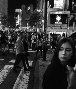 Lauren Tsai Instagram - Astrid is in Shibuya crossing. She will be here until the end of tomorrow, Oct 6. 🐦‍⬛