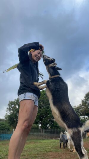 Leah Lewis Instagram - Started peaceful, ended up learning who was GOAT

I have loved every second of being here in Anahola and I will be very sad to leave these pure babies