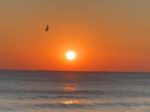 Lee Gook-ju Instagram - 2024년 마지막 캠핑🌅
바비의 첫 동해바다 바람에 머리 날리는거 넘 귀욥
캠핑카는 참... 안팔자니 많이 안타서 돈 아깝고 
팔자니 가끔 급으로 오는 이맛이 또 기가막힌 행복이라..
내년에 결정 해야겠다 ㅋ 우선 올해는 서해 동해 다 굳!!!!!
먼 남해는 언제 쯤 가볼수 있으려나 🤔