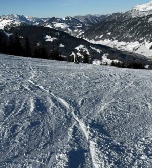 Lena Gercke Instagram - Ski Day !⛷️⛷️⛷️Mein Lieblingsvideo ist das letzte😂 wo ich einfach ne falsche Ausfahrt genommen habe und Dustin vergeblich auf mich wartet😂😂😂 ich sag mal so…es wird nicht unbedingt besser von Jahr zu Jahr 😂