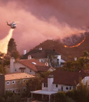 Lexy Kolker Instagram - wow. what a tragedy. there’s so much to say i don’t even know where to start. my appreciation and gratitude goes out to all the firefighters and first responders putting their life on the line right now. my heart goes out to my community and all the wildlife. so much loss and heartbreak so fast💔. my prayers are with you all ❤️‍🩹🙏🏻