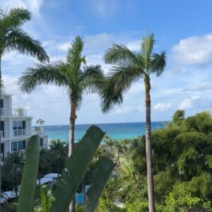 Lisa Rinna Instagram - 🌴🌈🏖️☀️👙🍔