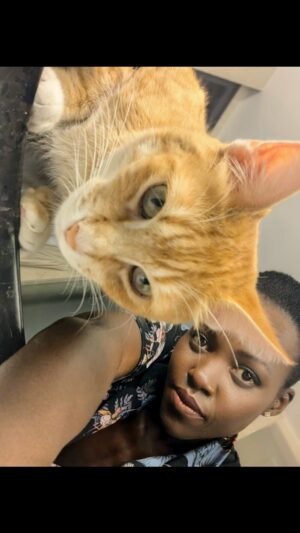 Lupita Nyong'o Instagram - YOYO’S YEAR IN REVIEW 😹 Looking back at my first full year as a full-on Cat Mom. Please join me in giving it up for the best cat a girl could have on this final #Caturday of 2024 😻 I adore you, little guy!! 🐈

🗽Yoyo traveled to New York City and luxuriated in his hotel room 
🧡Spent alone time in cozy hiding places
☀️Took a hike and was so LA
📸Made his @glamourmag debut 
🎉Partied for his birthday
🤫Survived the #quietplacechallenge 
😽Kindly declined going out with me and stayed home with zero FOMO

#YOYOYYO #CatMom