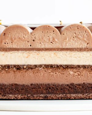 Maja Vase Instagram - Chocolate coffee ice cream tart ☕️🍫🍦🤎 Soo creamy, crunchy, fudgy, crispy, and cold ✌🏻 Send a 🤎 for recipe and support!