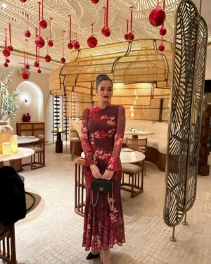 Malak Ahmed Zaher Instagram - The attaraction between the color red and me!! ❤️‍🔥