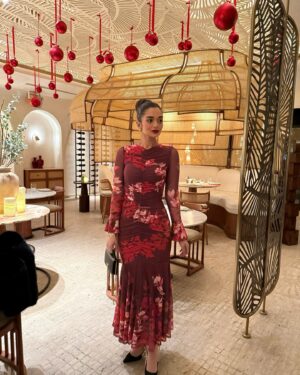 Malak Ahmed Zaher Instagram - The attaraction between the color red and me!! ❤️‍🔥