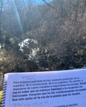 Manuela Velasco Instagram - ¡Feliz año nuevo!
Ojalá paz, salud, vivienda, trabajo, arte, paseos por el bosque y el mar. 
Y una sopa y compartir con seres amados para calentar el cuerpo y el alma. 
Y poesía y música para ensancharla.

#bienvenido2025 #1deenero