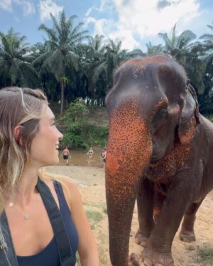 Marcela Fetter Instagram - Sonhar é o que me mantém viva e realizar sonhos é o que dá sentido à vida ✨

2024 tem sido um ano de coragem, desafios e inovação. Um ano em que enfrentei medos, saí da zona de conforto e, como consequência, vivi grandes realizações, grandes mesmo. Sonhos que nem sabia que eram sonhos e sonhos, como o de hoje, que sonhava a muito tempo!

O elefante é meu animal espiritual, meu animal selvagem preferido no mundo, sinônimo de força e poder, sabedoria, prosperidade, paciência, boa sorte e proteção. Não consigo descrever a emoção de vê-los de pertinho, tocar e sentir a força e a grandeza deles 🐘🥹

É importante lembrar que esse encontro aconteceu em um santuário que resgata elefantes de condições difíceis. Todo o trabalho e a estrutura do santuário são pensados para o bem-estar deles e para permitir, dentro do possível, a reintegração com a natureza. Eles foram resgatados de situações como trabalhos forçados no circo e na agricultura e, por isso, ainda não têm condições de voltar imediatamente para o ambiente selvagem.
Cada elefante tem seu próprio cuidador, e é lindo sentir o quanto eles são bem tratados e estão realmente bem agora, protegidos e respeitados. Além disso, o espaço onde vivem é maravilhoso, no meio da natureza, como se estivessem no mundo selvagem, mas com o monitoramento e o cuidado.

Foi emocionante vivenciar tudo isso de perto e ver que esses gigantes amados estão recebendo o respeito e o amor que merecem. ❤️

É Natal e o ano ainda não acabou, mas obrigada 2024, por ser tão maravilhoso! Feliz Natal minhas lindezas, que Deus abençoe hoje e sempre suas famílias, com muita paz, amor e união, que seja um dia repleto de gratidão 🙏🏼❤️