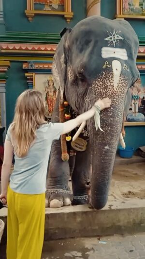 Maria Ryaboshapka Instagram - Back then it was the first time when I saw the elephant so close. I was so happy and thought, how this giant creatures can be so calm, kind, careful and beautiful..😌