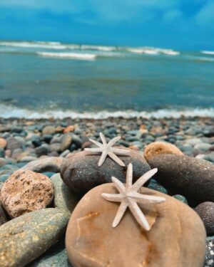 Mayella Lloclla Instagram - Seamos unas estrellas de Mar este verano ☀️
La estrella de mar es un símbolo de dirección espiritual y protección divina. También representa la capacidad de viajar y explorar nuevos caminos, ya que se mueve en los océanos 🌊 y puede regenerarse si se daña. 🐚☀️
Nuevo ingreso: nuestras Estrellas de Mar de plata 950