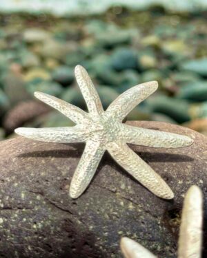 Mayella Lloclla Instagram - Seamos unas estrellas de Mar este verano ☀️
La estrella de mar es un símbolo de dirección espiritual y protección divina. También representa la capacidad de viajar y explorar nuevos caminos, ya que se mueve en los océanos 🌊 y puede regenerarse si se daña. 🐚☀️
Nuevo ingreso: nuestras Estrellas de Mar de plata 950