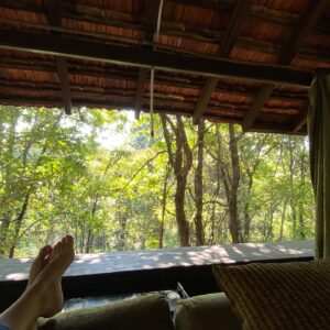 Meghna Gulzar Instagram - Bliss is this.