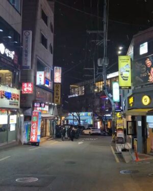 Mel Lisboa Instagram - Seul - Coreia. Dezembro, 2024. Rolo #2 

#Seul #seoul #coreia #korea #familia #ferias #holidays