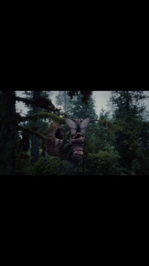 Melanie Martinez Instagram - 𝔠𝔯𝔞𝔳𝔦𝔫𝔤 𝔞 𝔠𝔥𝔞𝔫𝔤𝔢 𝔦𝔫 𝔱𝔥𝔢 𝔴𝔦𝔫𝔡 ˚｡ 𓇢𓆸