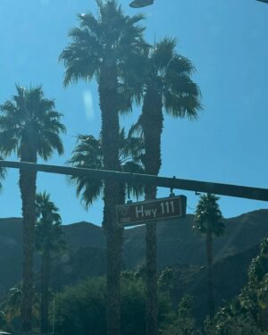 Mercedes Blanche Instagram - 2024:
•you were full of lessons, laughter, and tears. Happy that it happened but ready to move forward.
•grateful for the places my legs took me this year
•for the food I got
•for the people who I have in my life
•for my health 
•for the endless work opportunities 
•and for my family ♥️