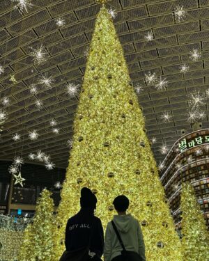 Miriam Yeung Chin-Wah Instagram - Merry Christmas🎄☃️
聖誕旅行第一站
首爾
#吃了一噸從來少吃的甜品
#零下五度喪行街
#行程由小丁安排